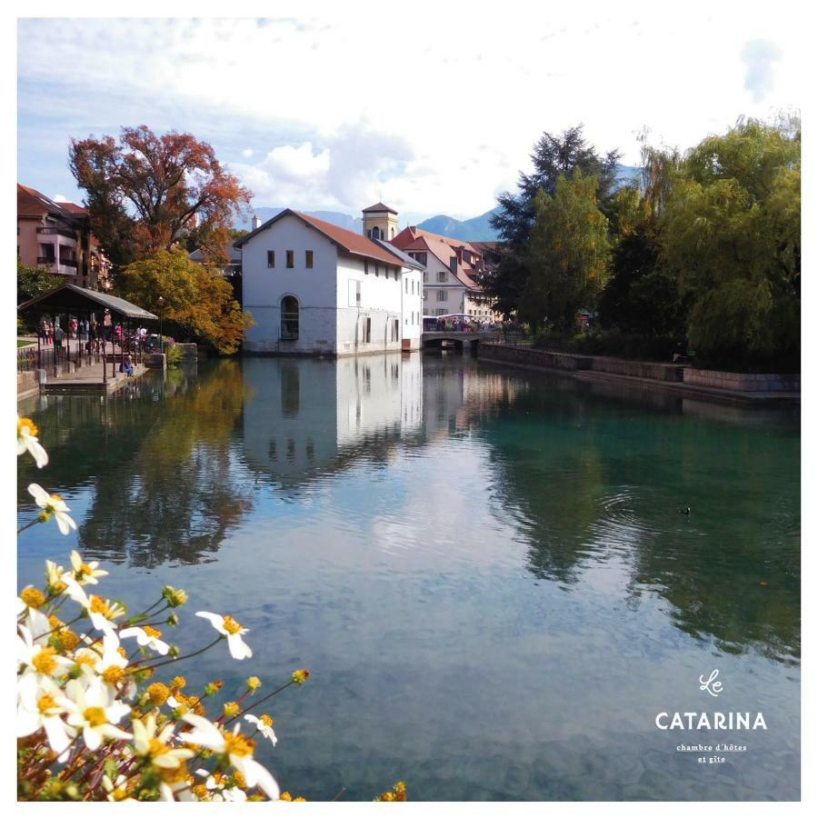 Le Studio Daire Annecy Dış mekan fotoğraf